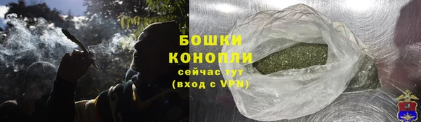 шишки Армянск