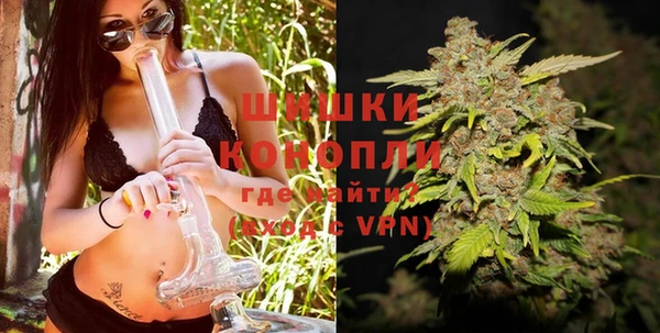 индика Новозыбков
