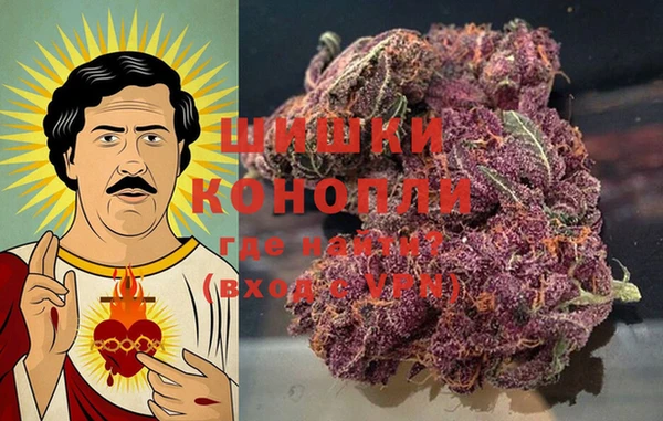 шишки Армянск