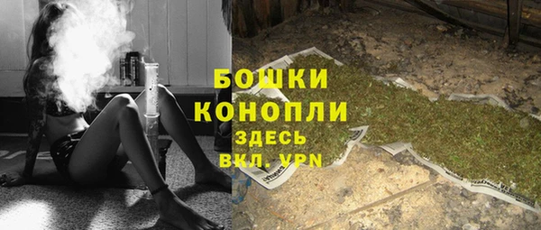 шишки Армянск