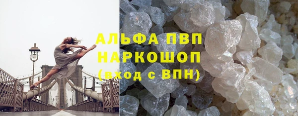 шишки Армянск