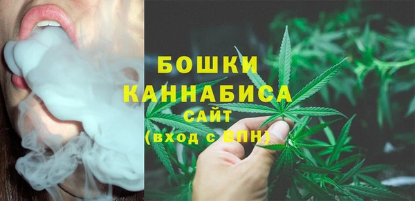 прущий лед Арсеньев